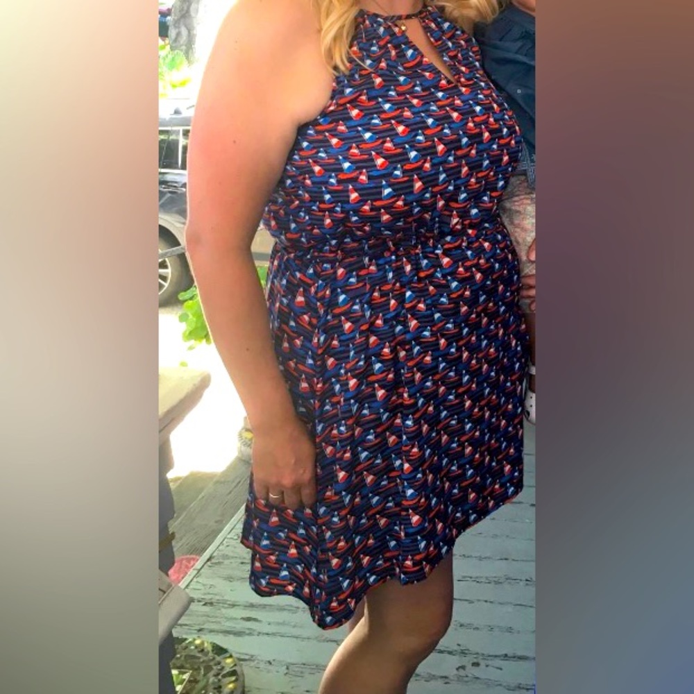 Pixley Dress. Cinch waist. Patriotic colors!